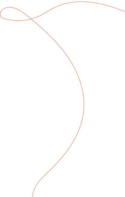 ligne de décoration
